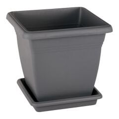 Serinova Villa Kare Saksı