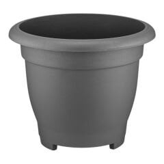 Serinova Büyük Vaha Saksı