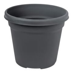 Serinova Vaha Saksı