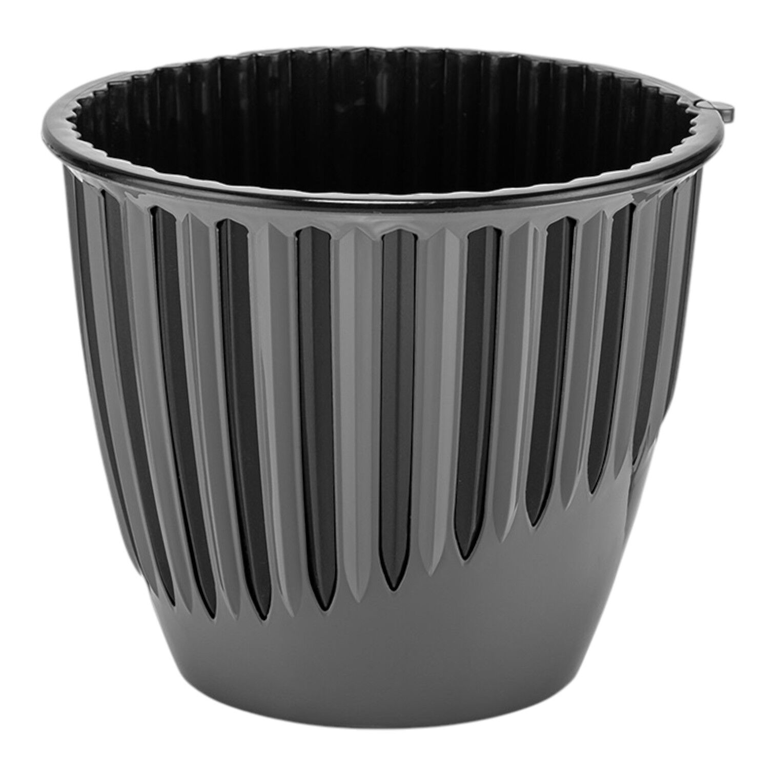 Serinova Piyano Saksı