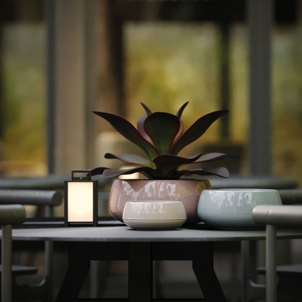 Serinova Elvan Aranjman Saksı Mocha - 3 NO