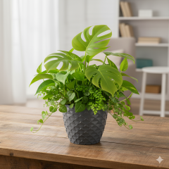 Serinova Kapadokya Desenli Plastik Saksı | İç ve Dış Mekan Çiçek Saksısı