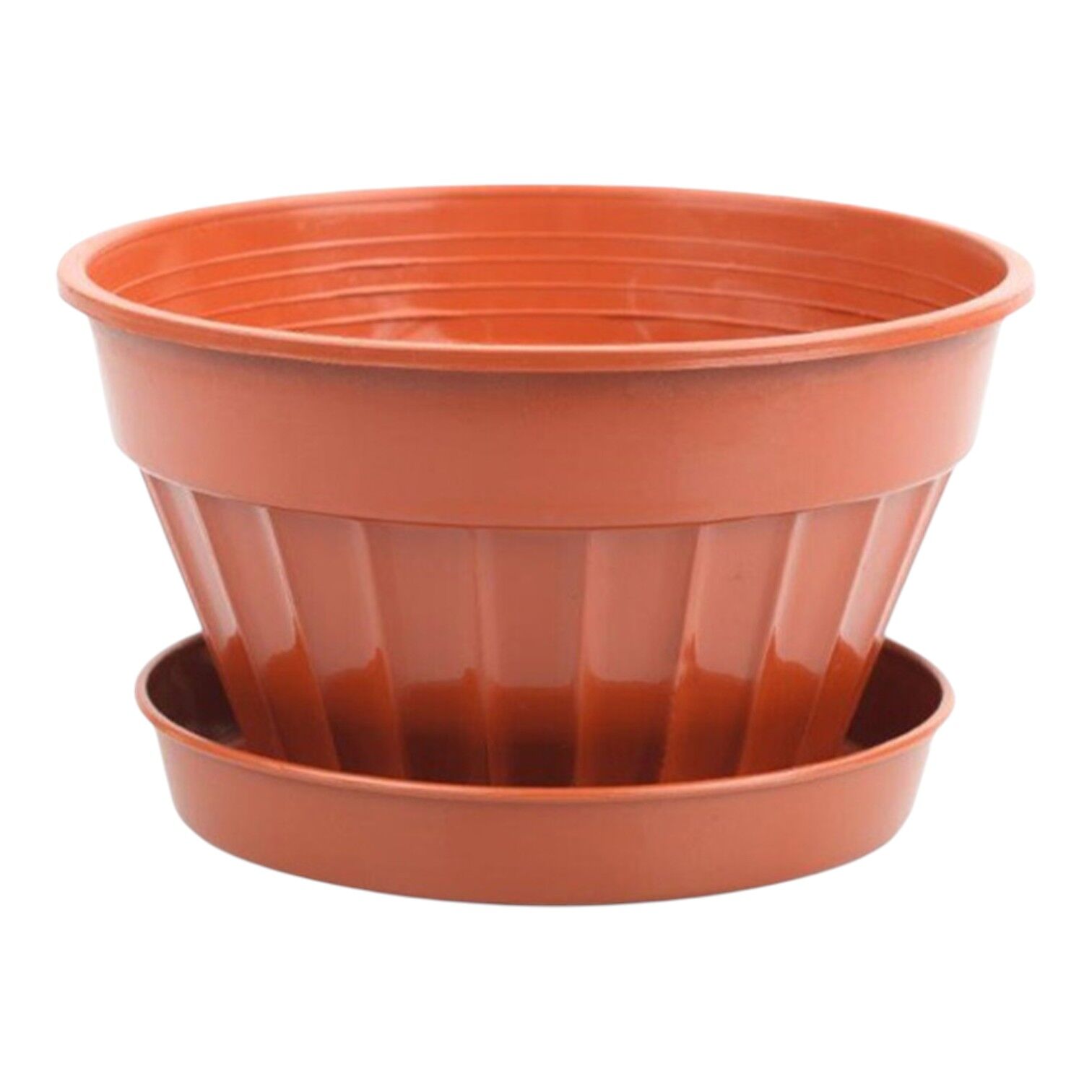 Serinova Menekşe Saksı