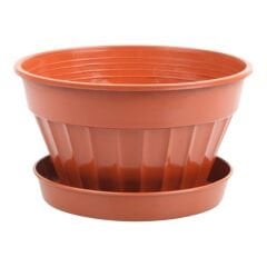 Serinova Menekşe Saksı