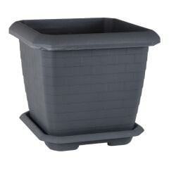 Serinova Hisar Kare Saksı