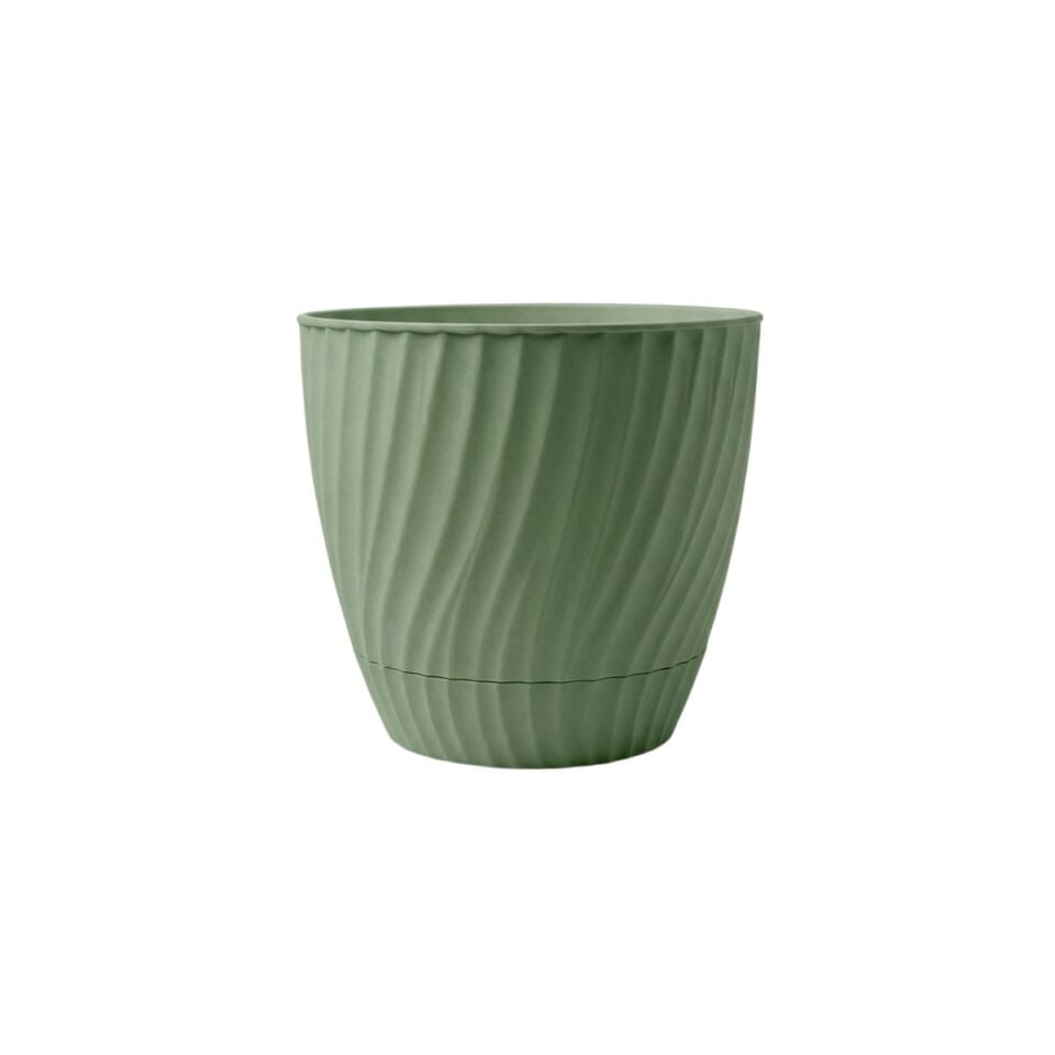 Matcha Yeşili