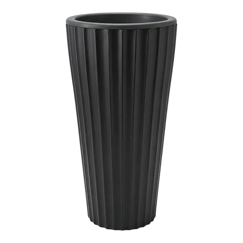siyah