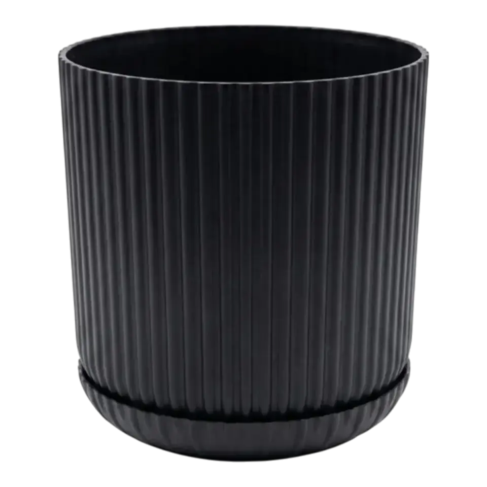 Serinova Lotus Tabaklı