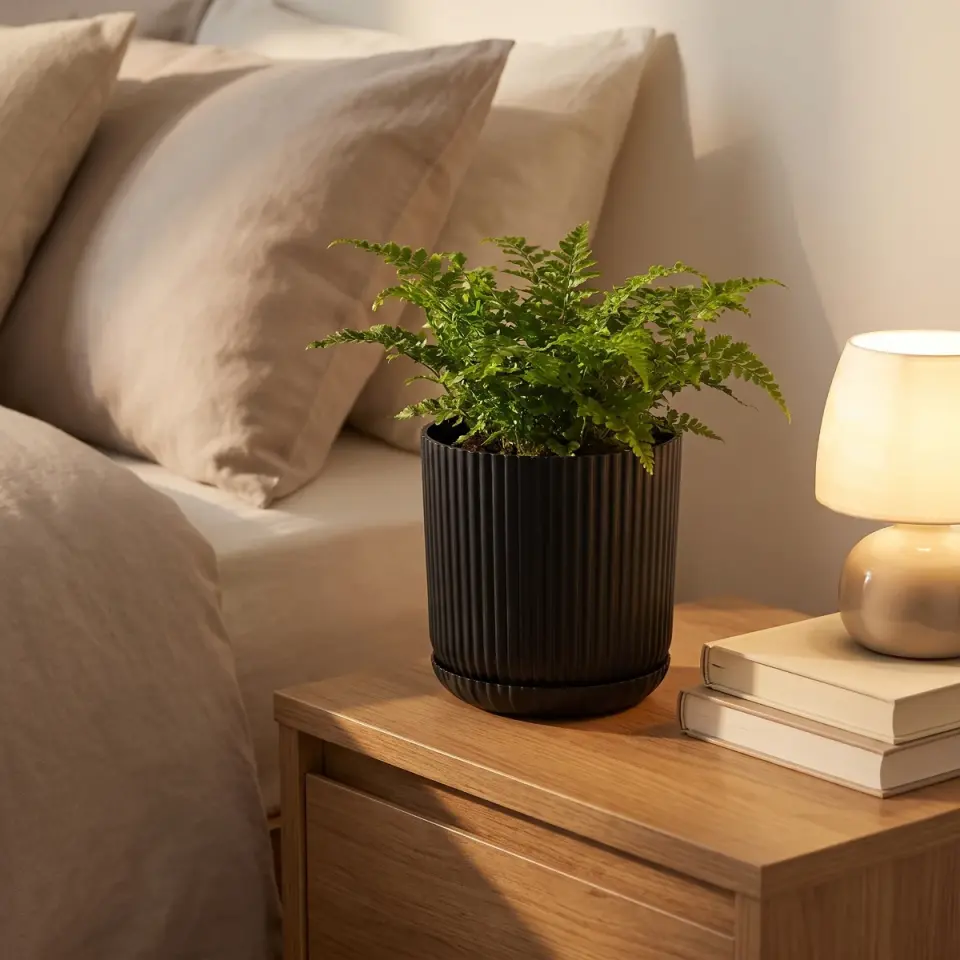 Lotus Tabaklı S.Siyah 1 NO yatak odası komodin eğrelti