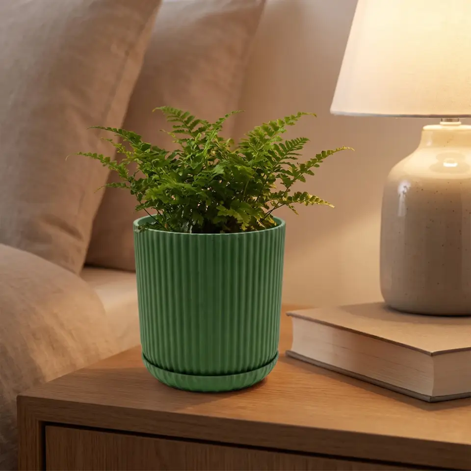 Lotus Tabaklı Zeytin Yeşili 1 NO yatak odası komodin eğrelti
