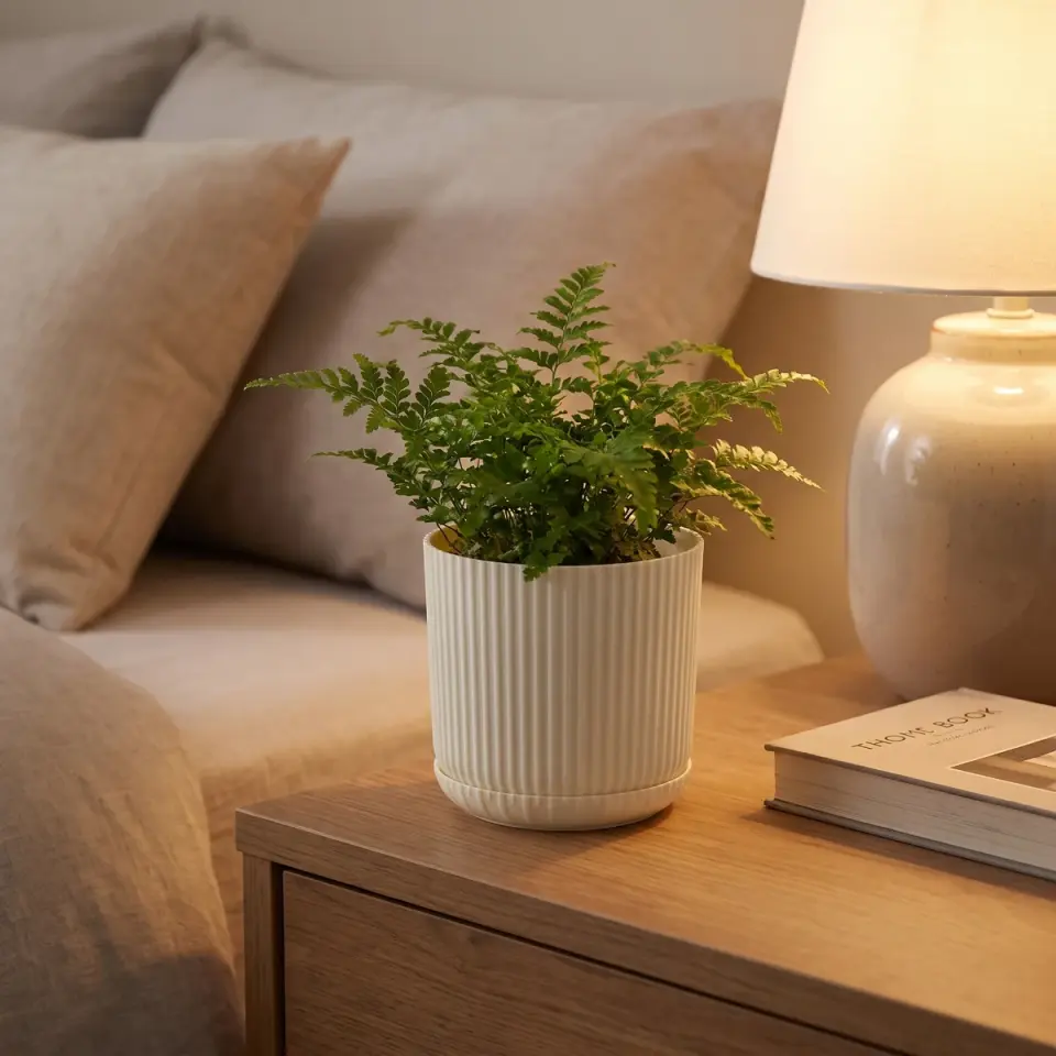 Lotus Tabaklı Kum Beji 1 NO yatak odası komodin eğrelti