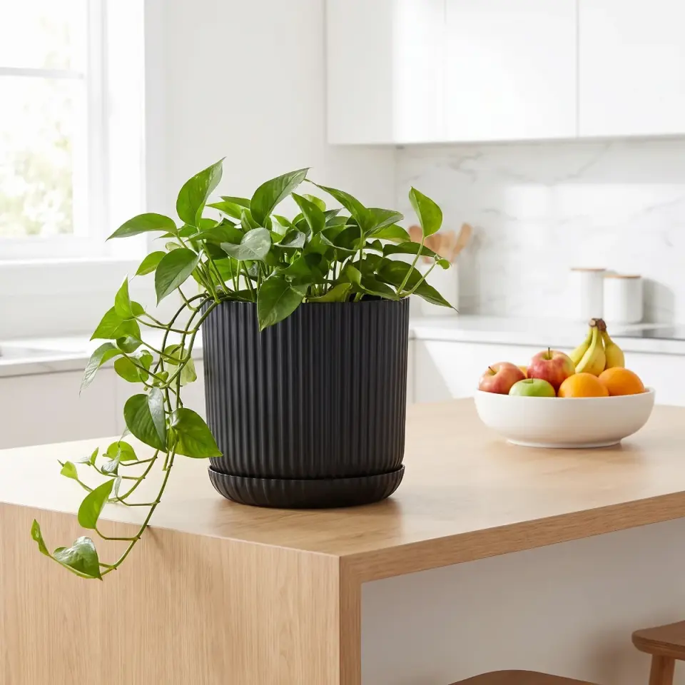 Lotus Tabaklı S.Siyah 2 NO mutfak adası sarmaşık
