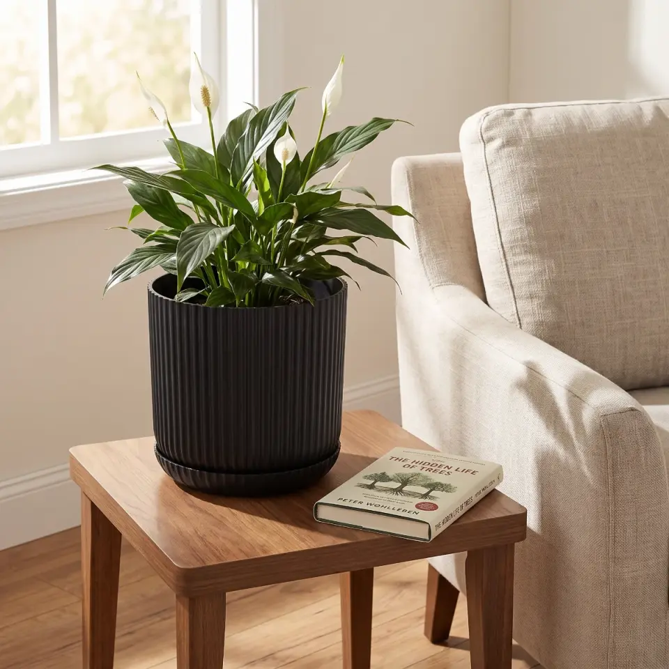 Lotus Tabaklı S.Siyah 2 NO salon yan sehpa barış çiçeği