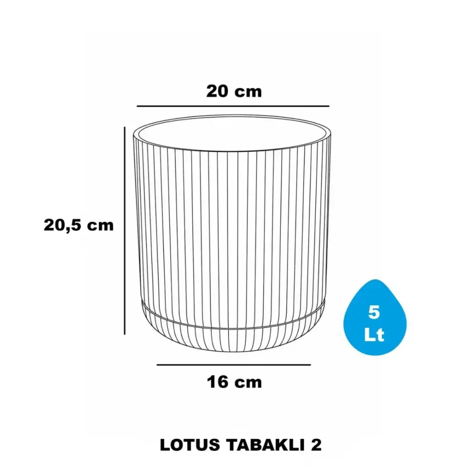 Serinova Lotus Tabaklı S Siyah 2 No – görsel 2 – Lotus Tabaklı S.Siyah -
