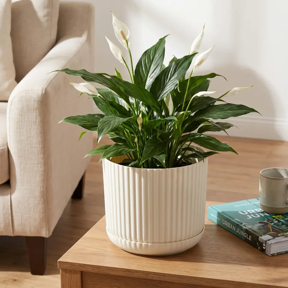 Lotus Tabaklı Kum Beji 2 NO salon yan sehpa