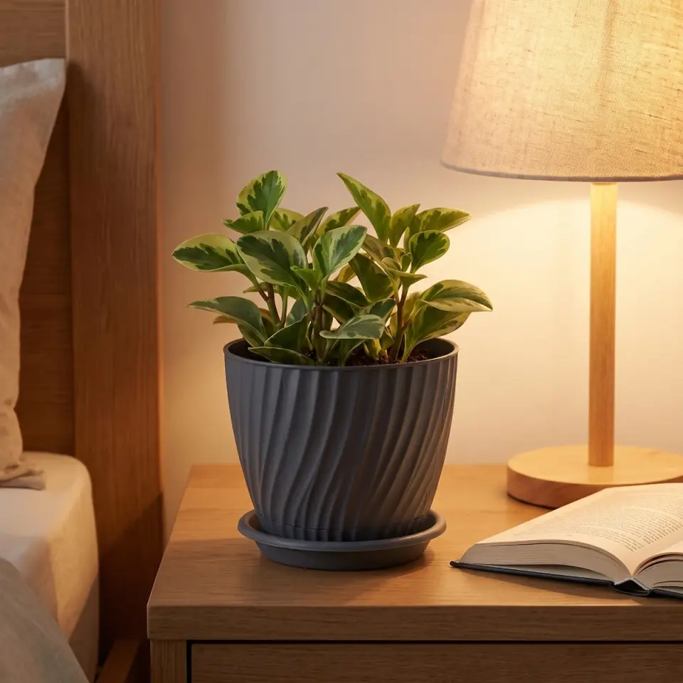Nehir Saksı 2 NO - Antrasit