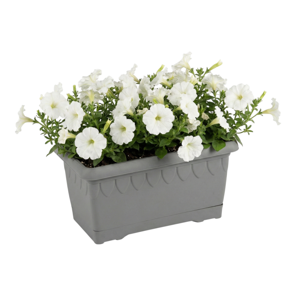 Damla Balkon Saksı 1 No - Antrasit