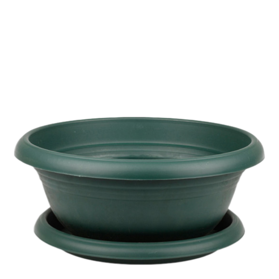 Arajman 0 NO - Yeşil