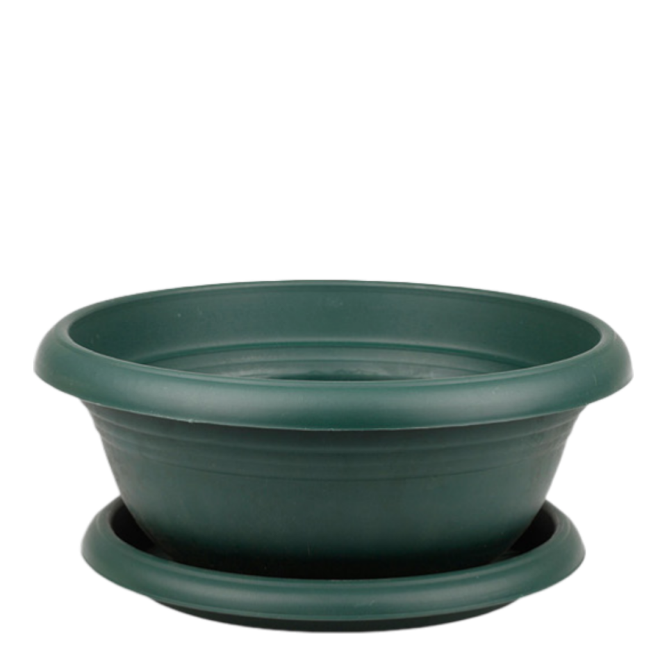 Arajman 0 NO - Yeşil