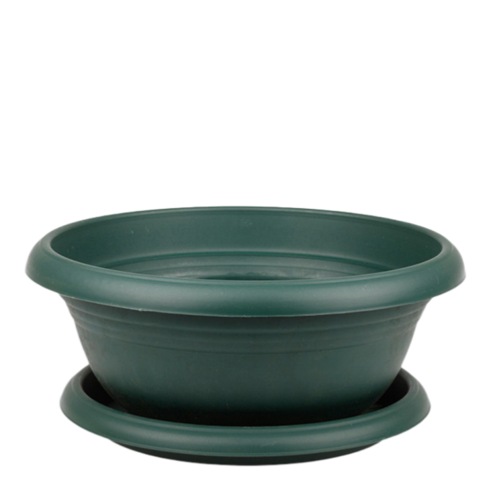 Arajman 1 NO - Yeşil