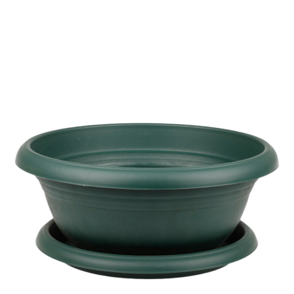 Arajman 2 NO - Yeşil