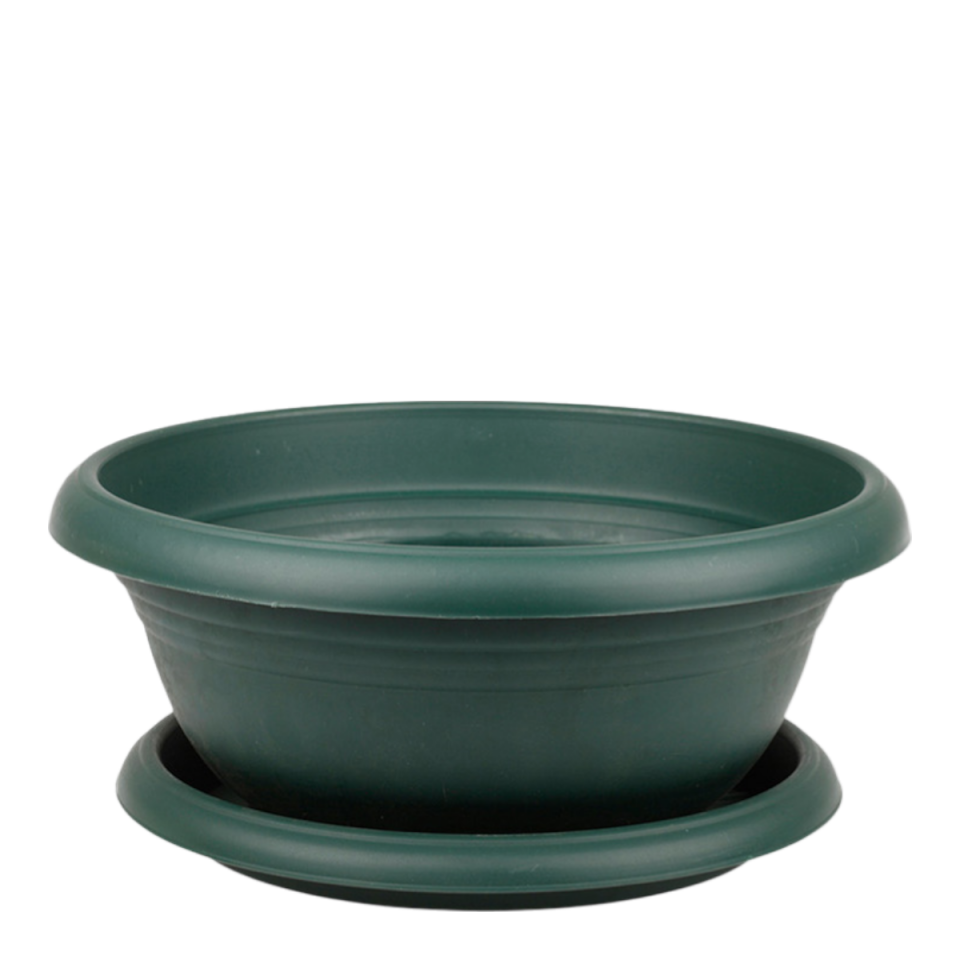 Arajman 3 NO - Yeşil