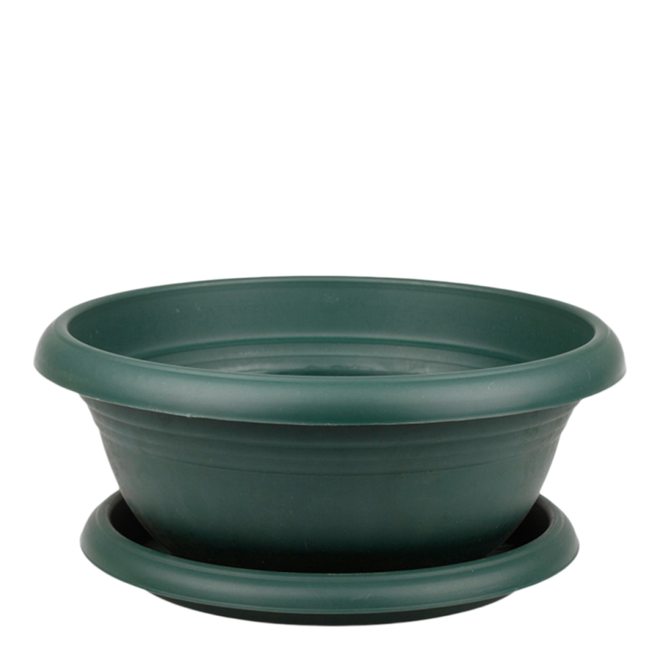 Arajman 4 NO - Yeşil