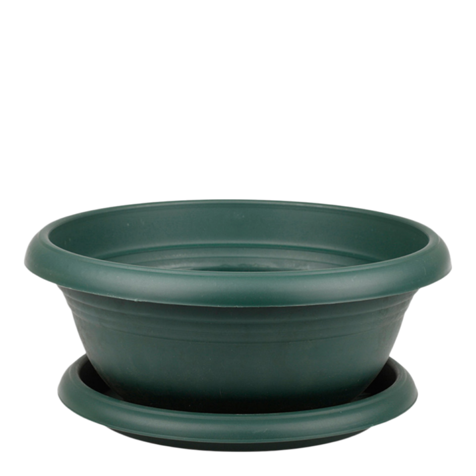 Arajman 5 NO - Yeşil