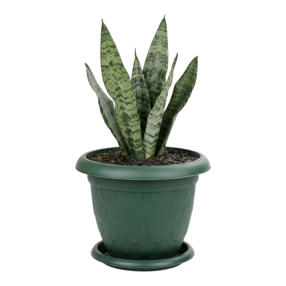 Damla Saksı 4 NO - Yeşil