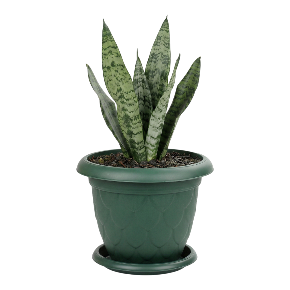 Damla Saksı 5 NO - Yeşil