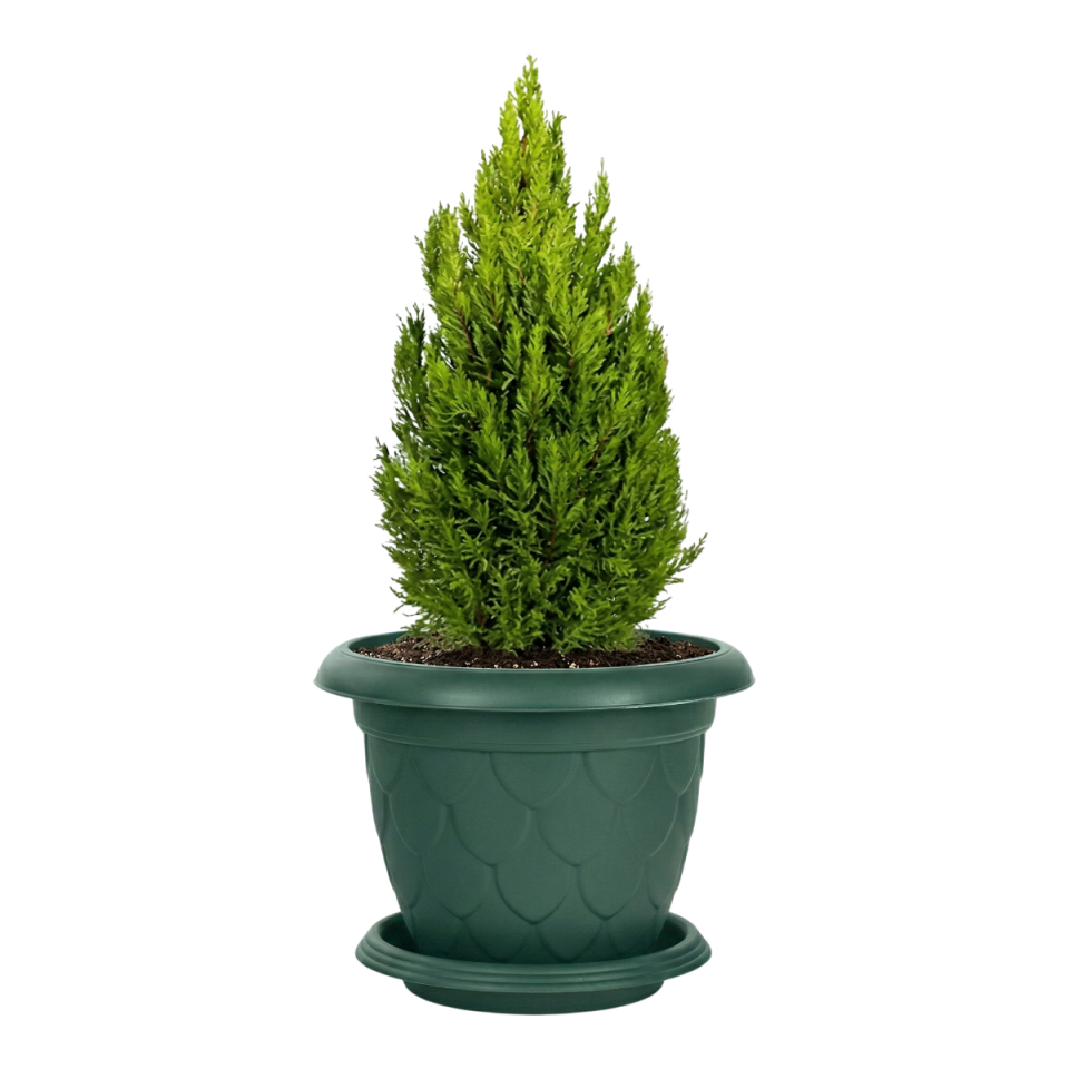 Damla Saksı 10 NO - Yeşil