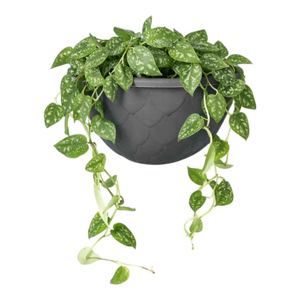 Damla Duvar Saksı 2 NO - Antrasit