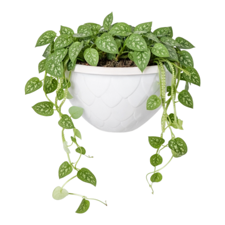 Damla Duvar Saksı 3 NO - Beyaz