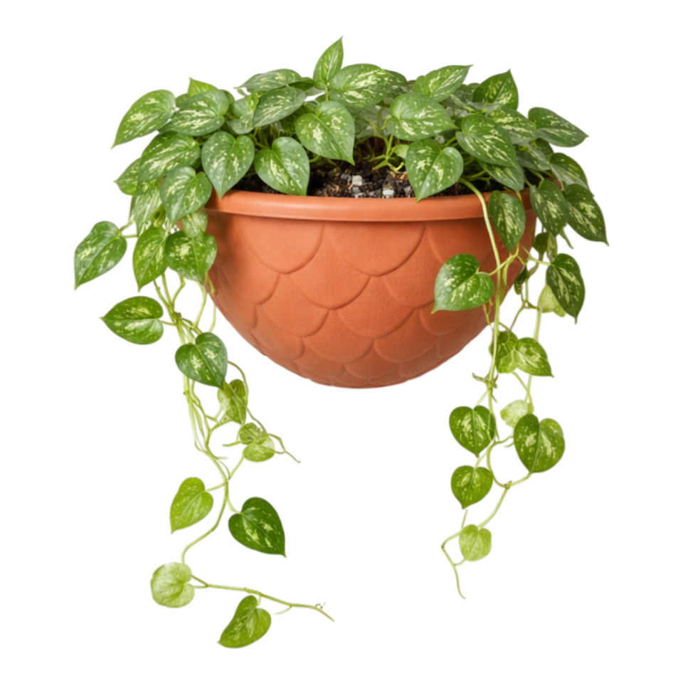 Damla Duvar Saksı 3 NO - Kiremit