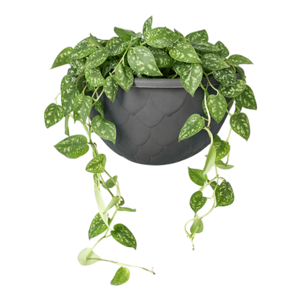 Damla Duvar Saksı 3 NO - Antrasit