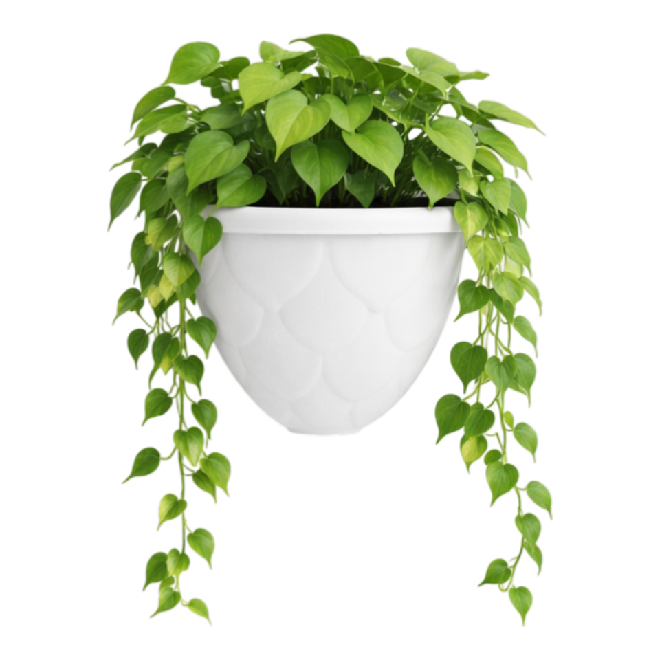 Damla Köşe Saksı 1 NO - Beyaz