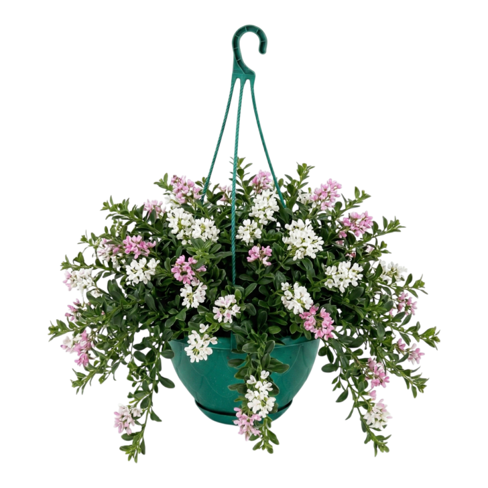 Damla Makrome 3 NO - Yeşil