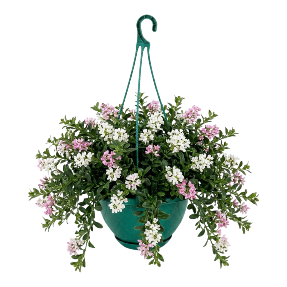 Damla Makrome 3 NO - Yeşil