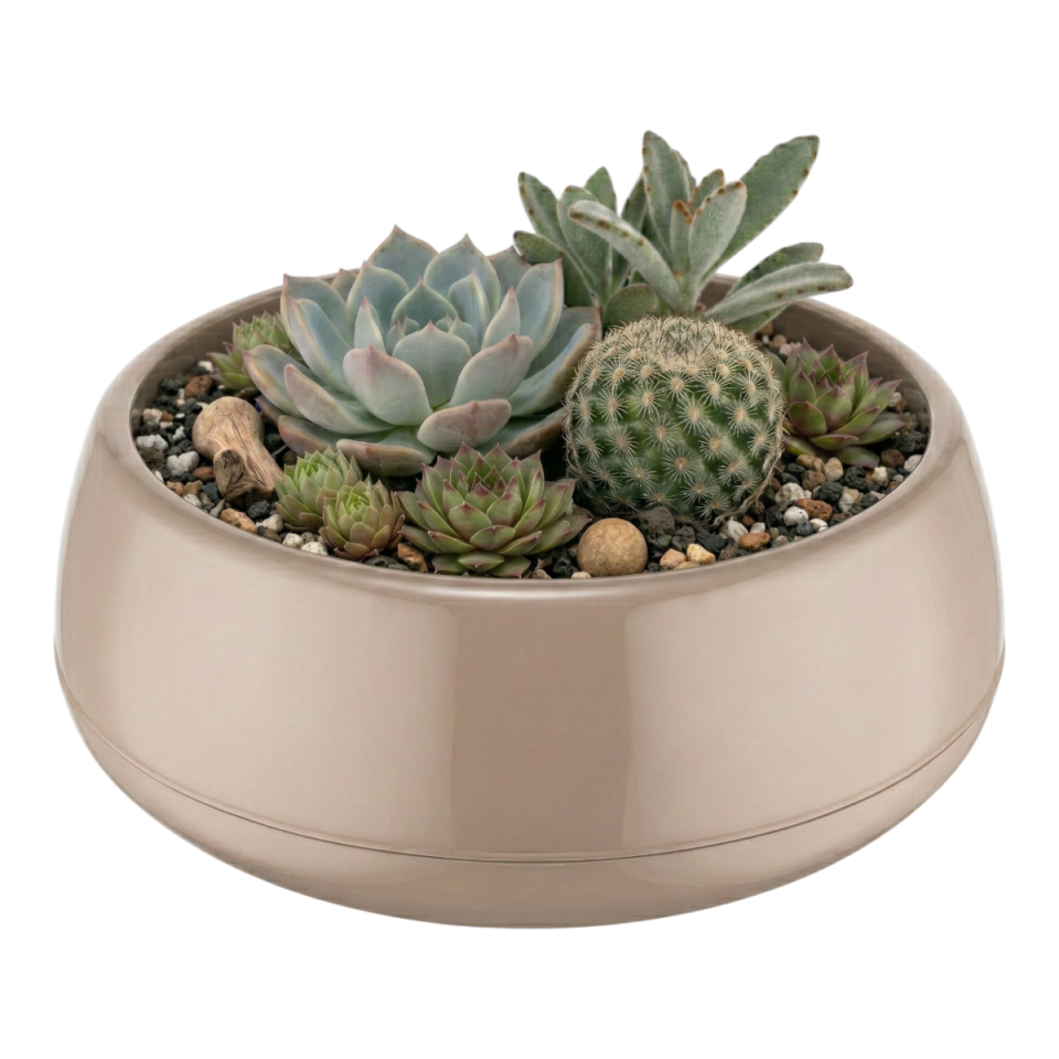 Elvan Arajman Saksı 1 NO - Mocha