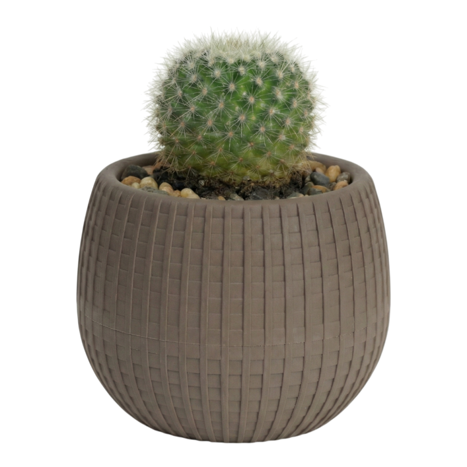 Elvan Saksı 5 NO - Mocha