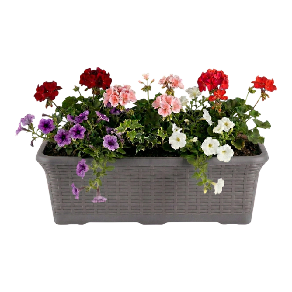 Hasır Balkon Saksı 2 NO - Antrasit