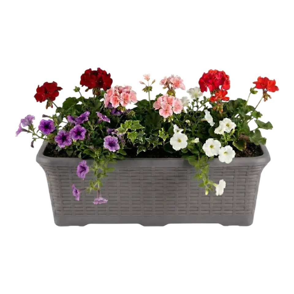 Hasır Balkon Saksı – UV Dayanımlı Plastik Balkon Saksısı | Serinova 2 NO - Antrasit