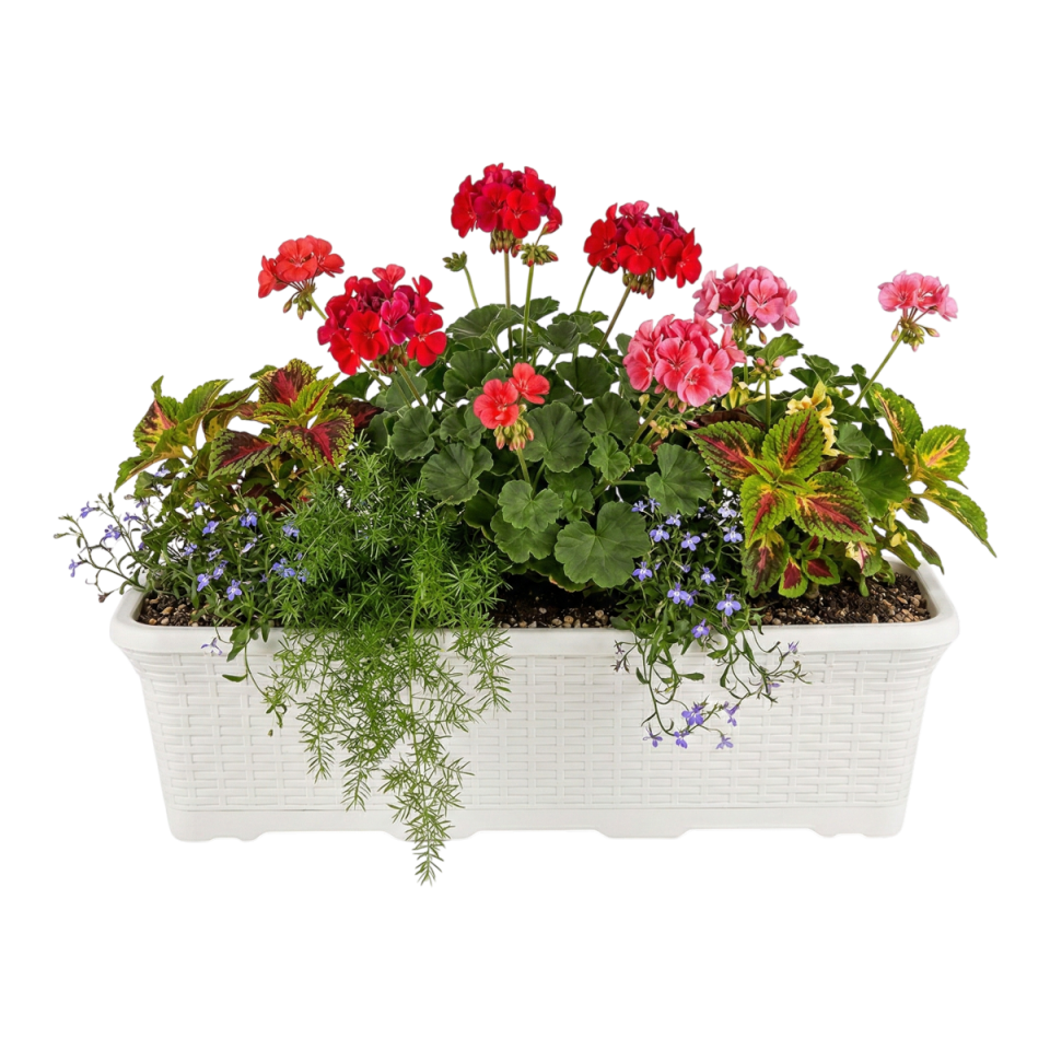 Hasır Balkon Saksı 3 NO - Kirli Beyaz