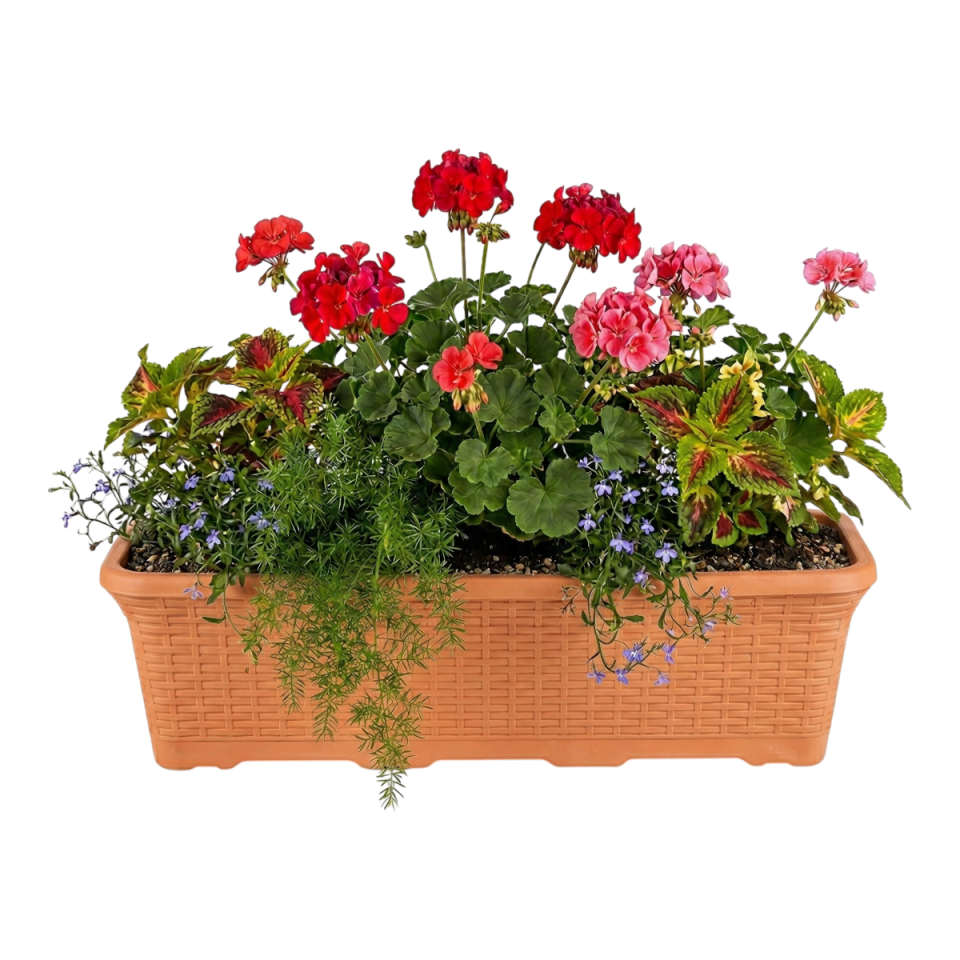 Hasır Balkon Saksı 3 NO - Kiremit