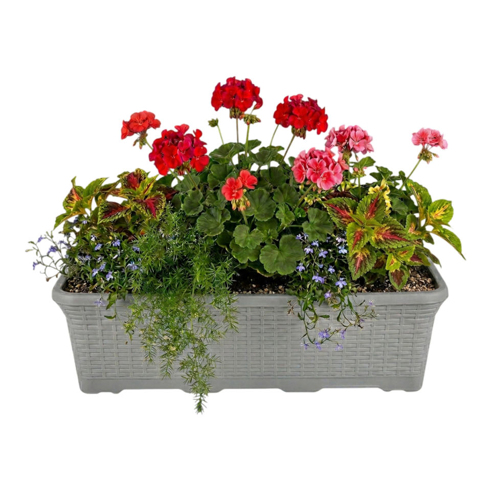 Hasır Balkon Saksı 3 NO - Antrasit