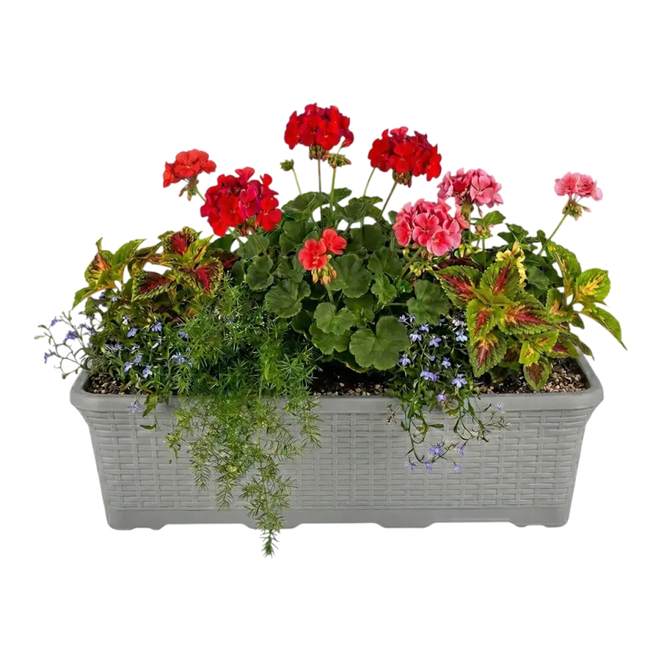 Hasır Balkon Saksı – UV Dayanımlı Plastik Balkon Saksısı | Serinova 3 NO - Antrasit
