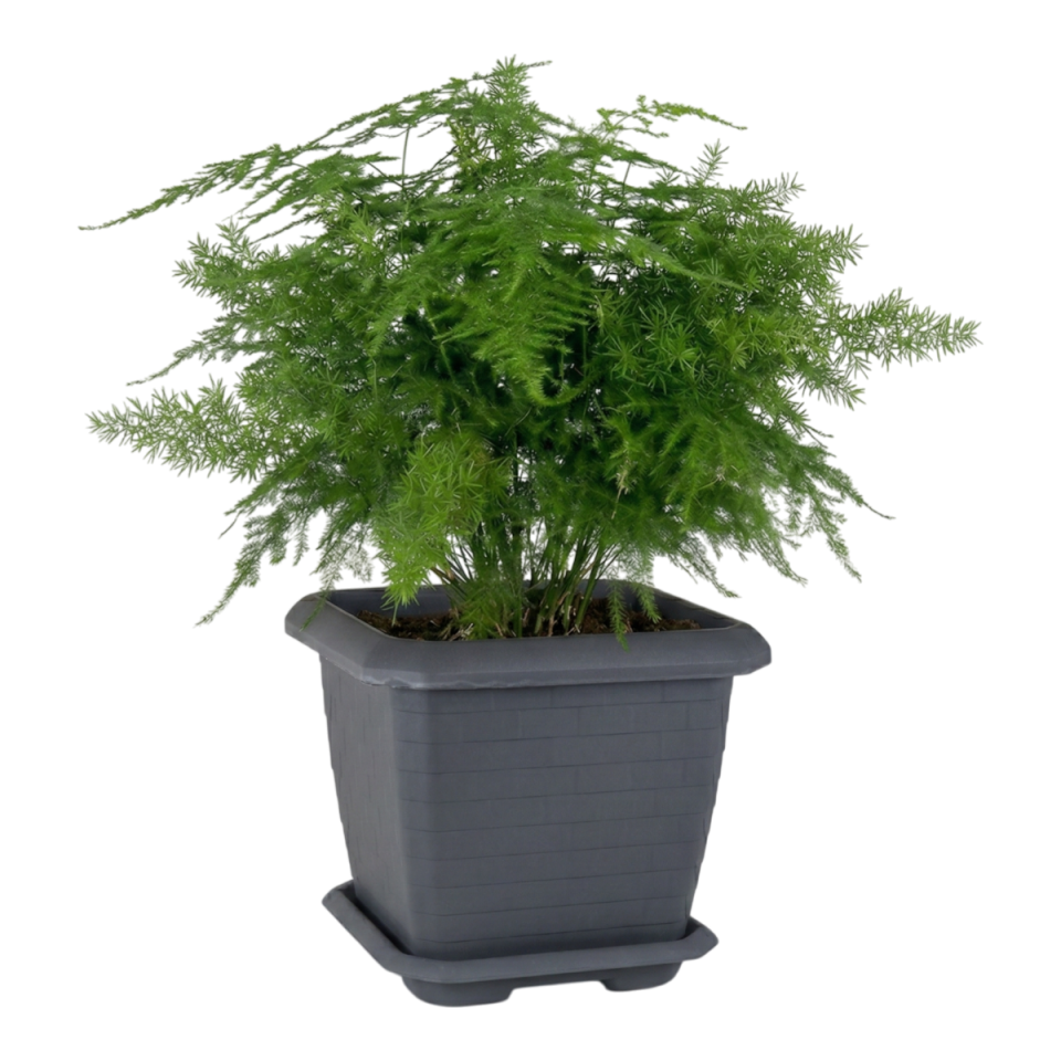 Hisar Kare Saksı 3 NO - Antrasit