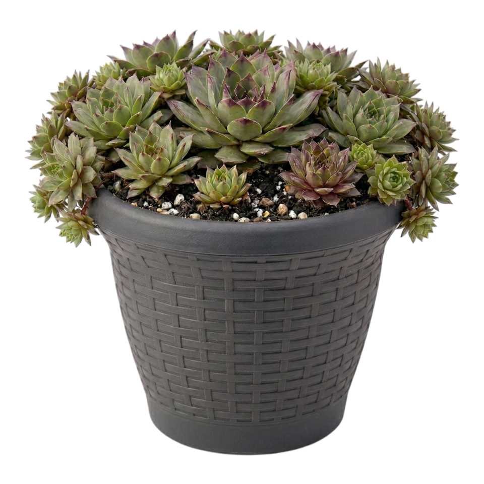 Hasır Saksı 2 NO - Antrasit