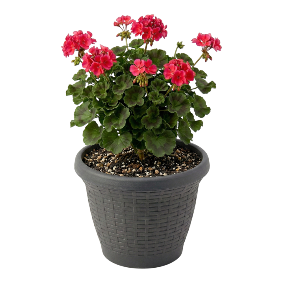 Hasır Saksı 4 NO - Antrasit