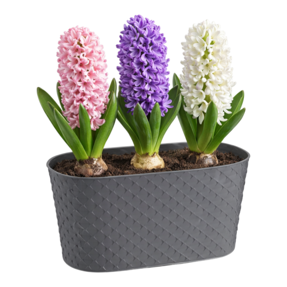 Kapadokya Balkon Saksı Antrasit